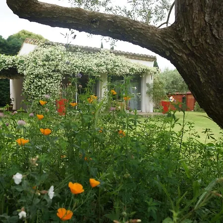 Bed & Breakfast Au Coeur De La Petite Camargue