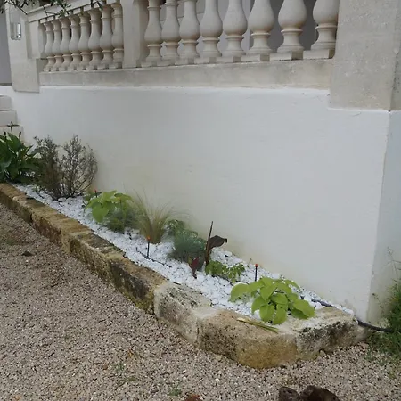 Au Coeur De La Petite Camargue 3* Beauvoisin (Gard)