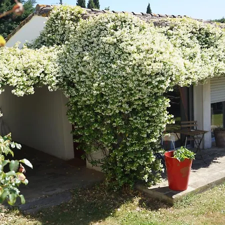 Au Coeur De La Petite Camargue