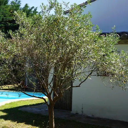 Au Coeur De La Petite Camargue Bed & Breakfast Beauvoisin (Gard)
