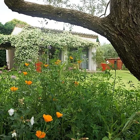 Au Coeur De La Petite Camargue Oda ve Kahvaltı