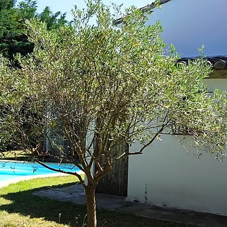 Au Coeur De La Petite Camargue 3* Beauvoisin (Gard)